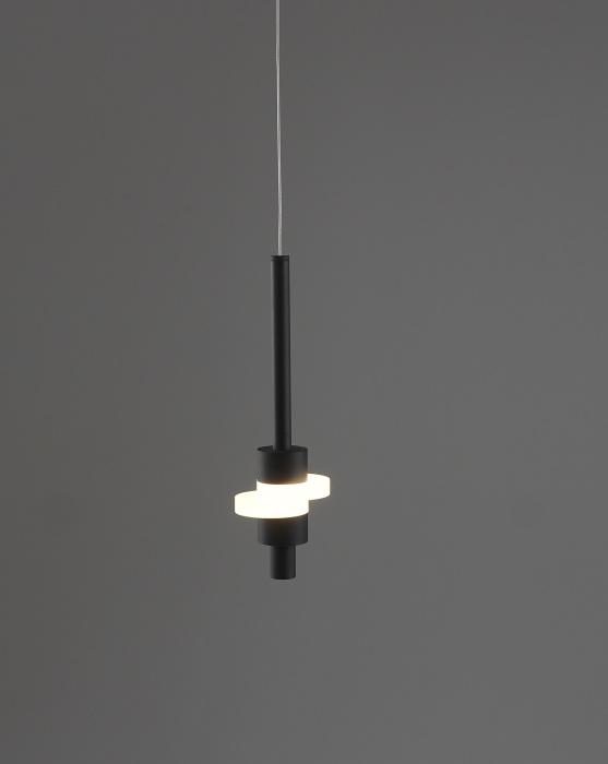 V11641-PL