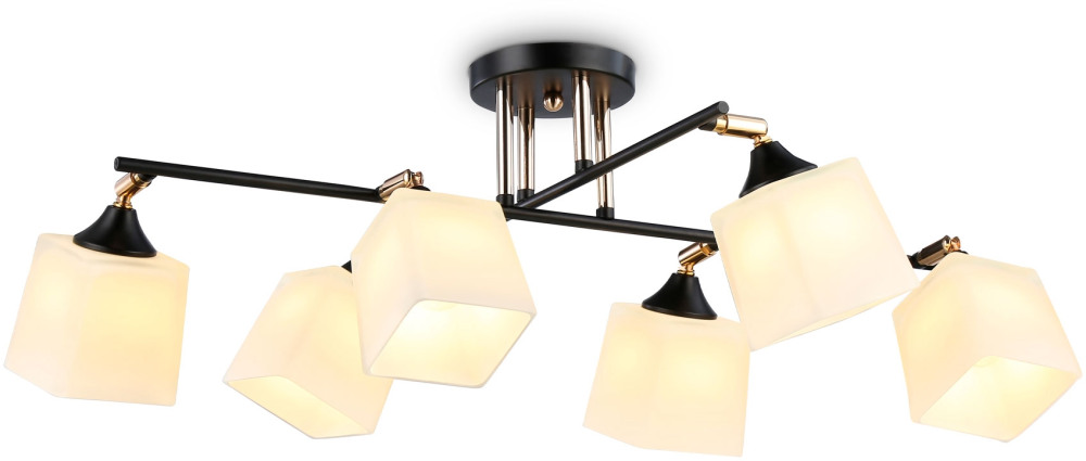 TR303089 Ambrella