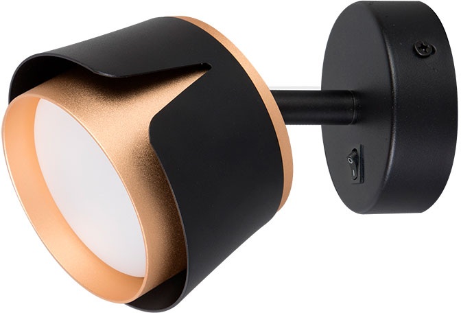 A8028AP-1BK Arte Lamp