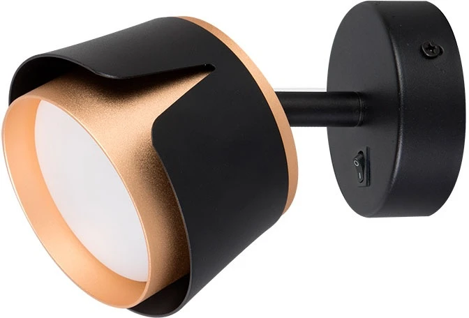 A8028AP-1BK Arte Lamp
