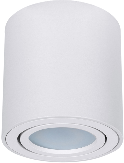A1513PL-1WH Arte Lamp
