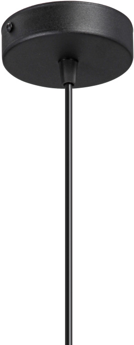 V2951-1/1S