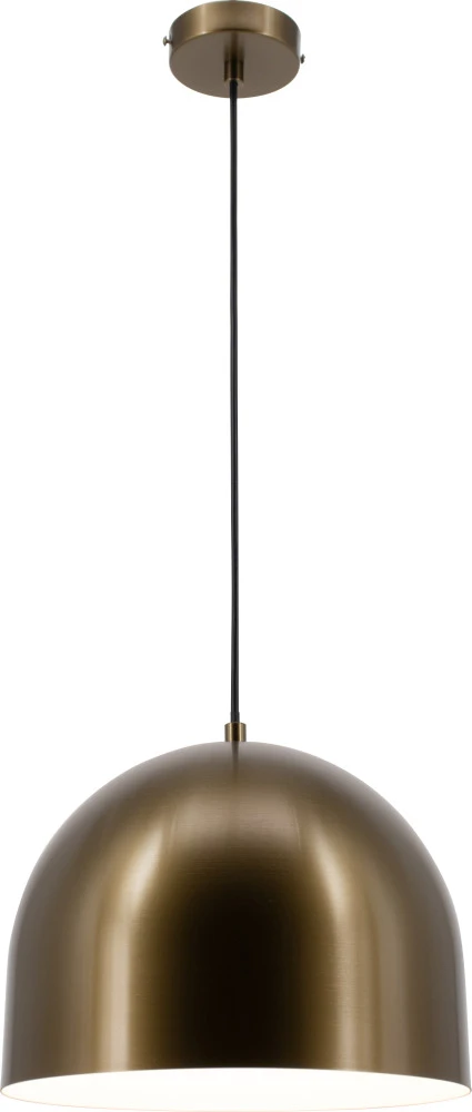 V11113-P Moderli