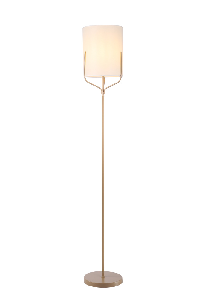 V11859-1F Moderli