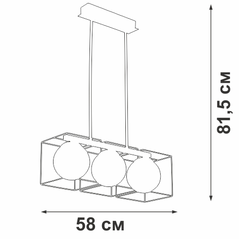 V4992-1/3PL Vitaluce