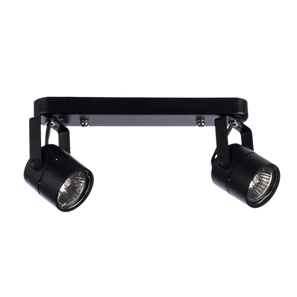 A1310PL-2BK Arte Lamp
