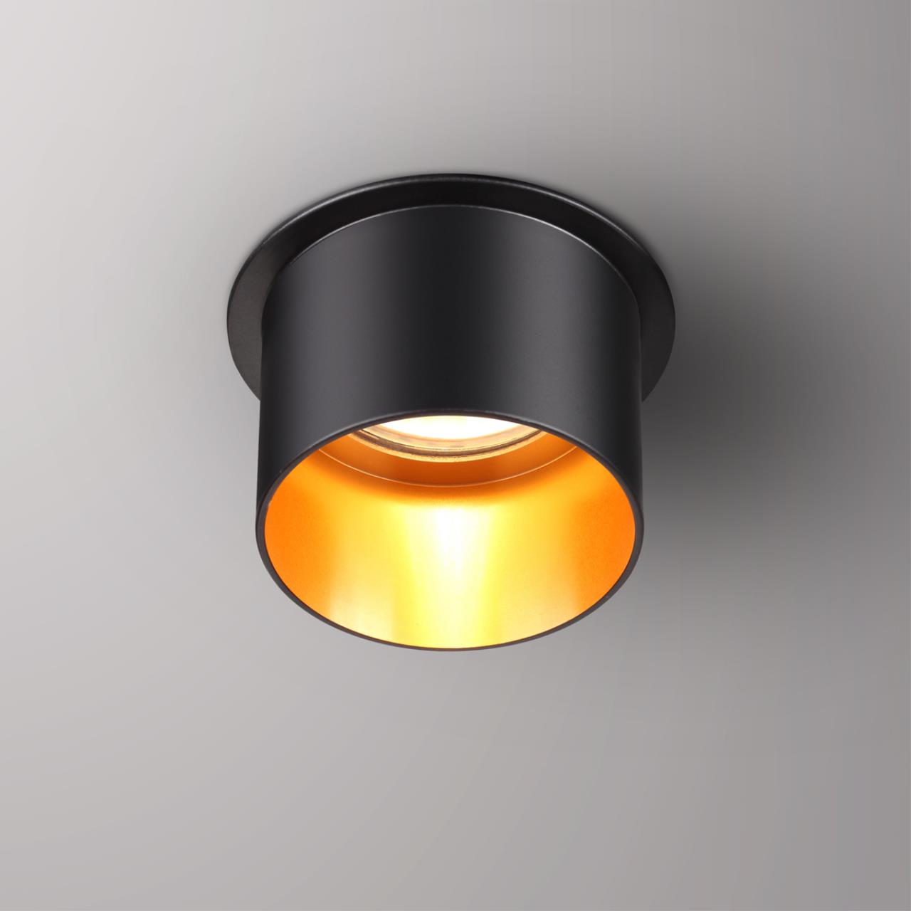 370431 Novotech