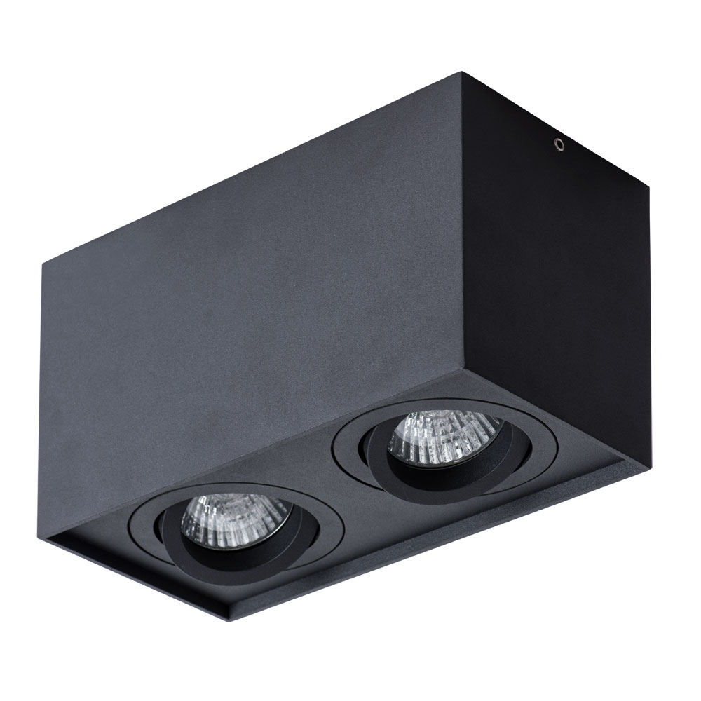 A5544PL-2BK Arte Lamp
