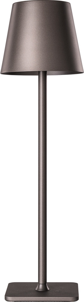 07203-T,19 Kink Light
