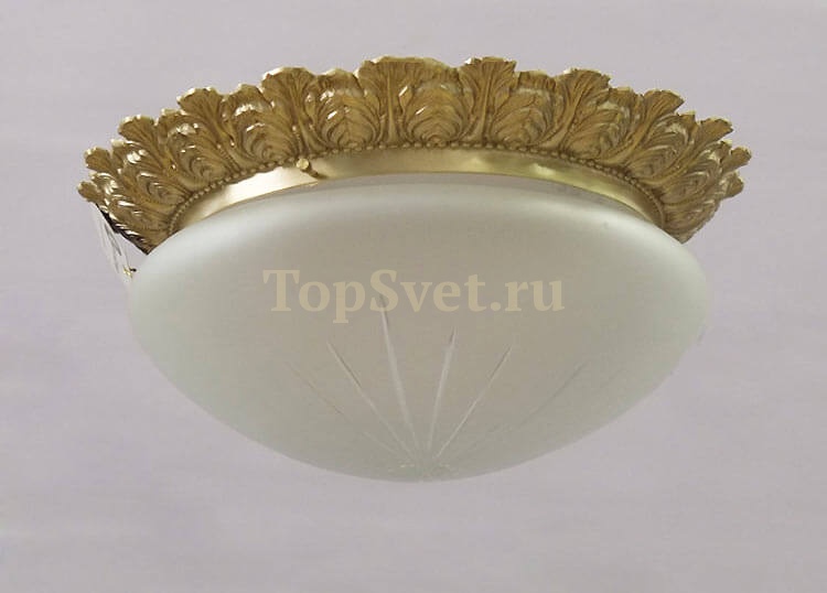 0590/2 CHAMPAGNE Nervilamp