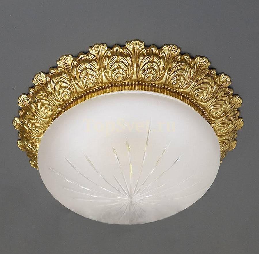 0595 FRENCH GOLD Nervilamp