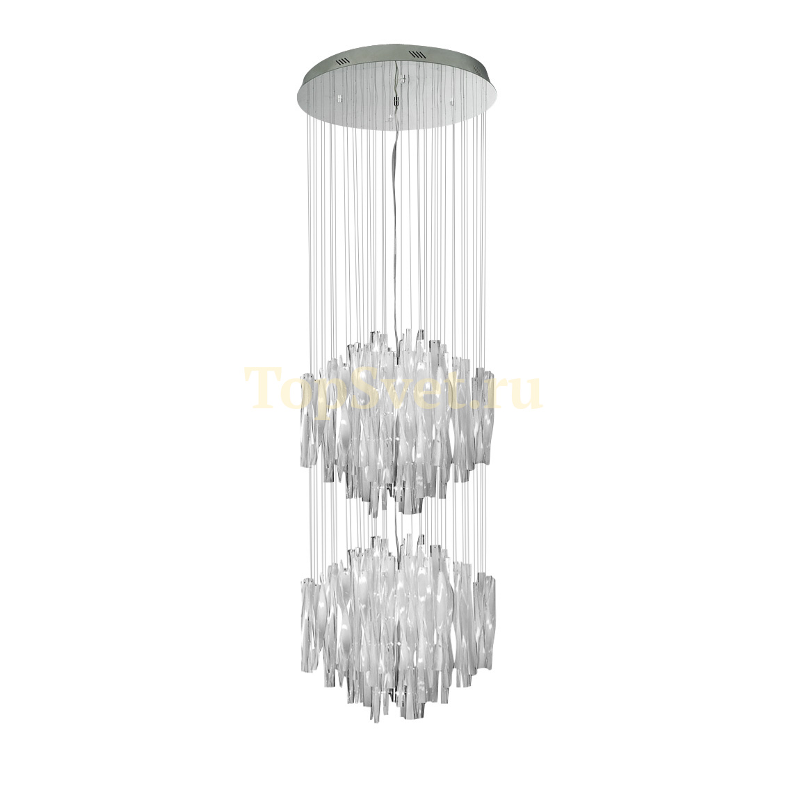 MD4506-54B spc. Arbor Illuminati