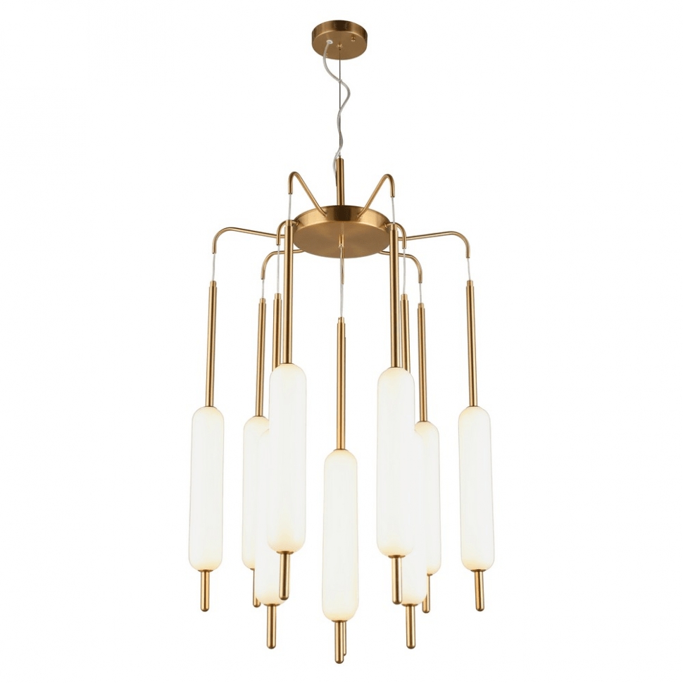 APL.010.03.80 Aployt