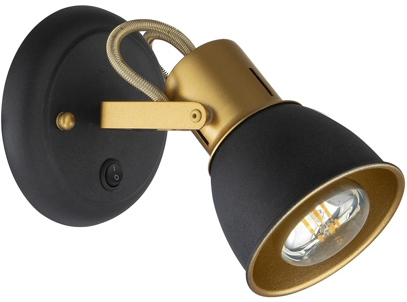 A1677AP-1GO Arte Lamp