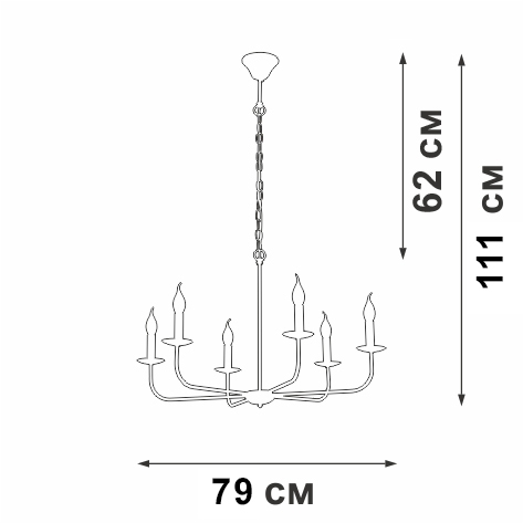 V3985-1/6 Vitaluce
