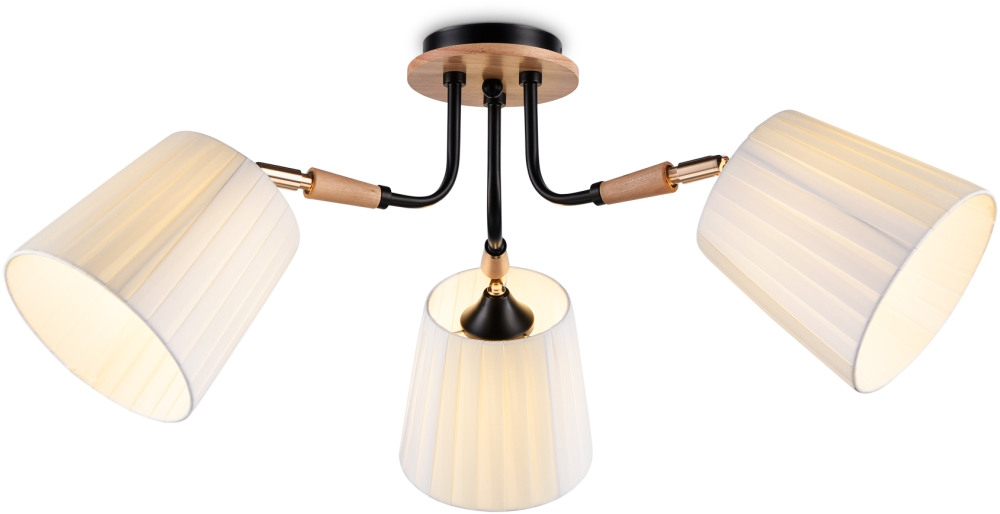 TR4731 Ambrella
