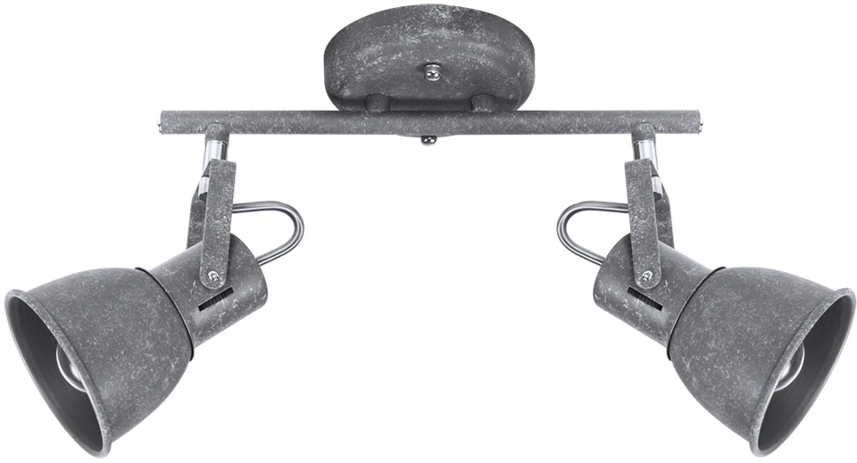 A1677PL-2GY Arte Lamp