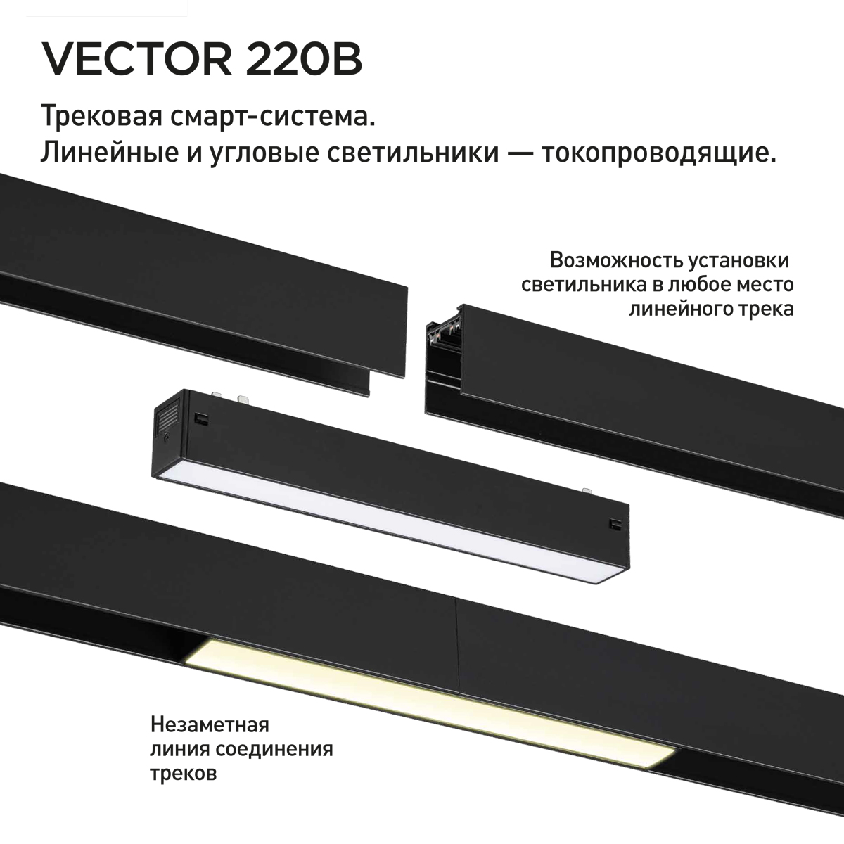 359936 Novotech