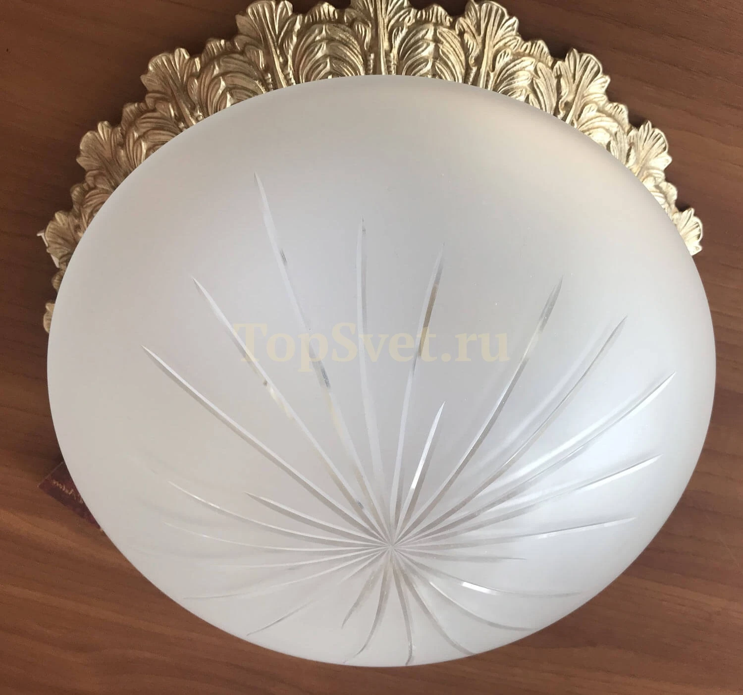 0590/2 CHAMPAGNE Nervilamp