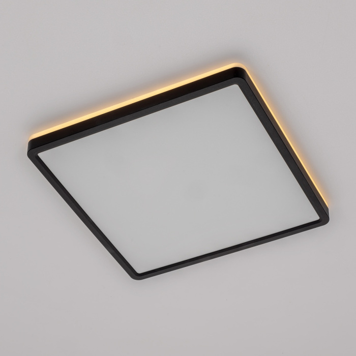 CL748K301 Citilux