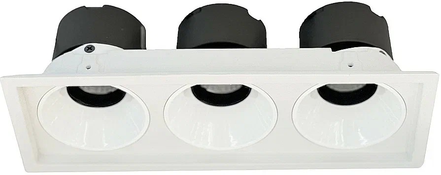 Точечный светильник Dorsum WTD.O21.000.30.30 Wertmark