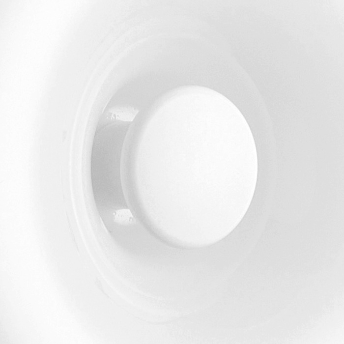 689616 Lightstar