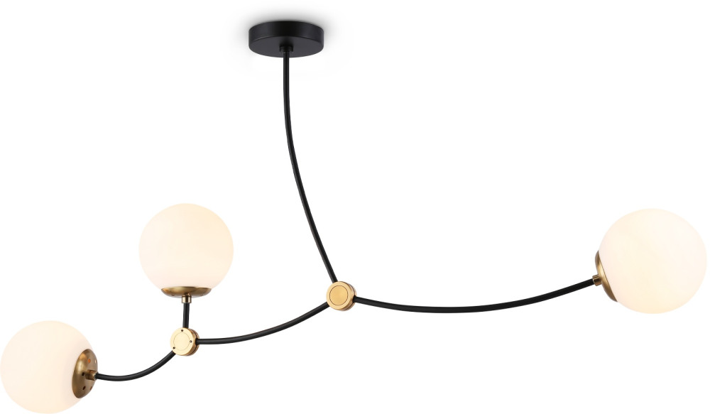 TR2568 Ambrella