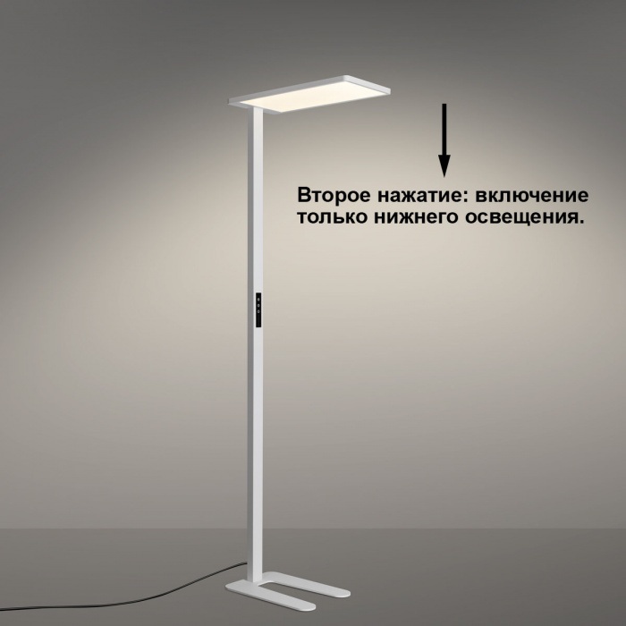 359545 Novotech