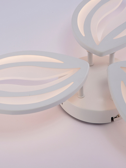 LED LAMPS 81456 Natali Kovaltseva
