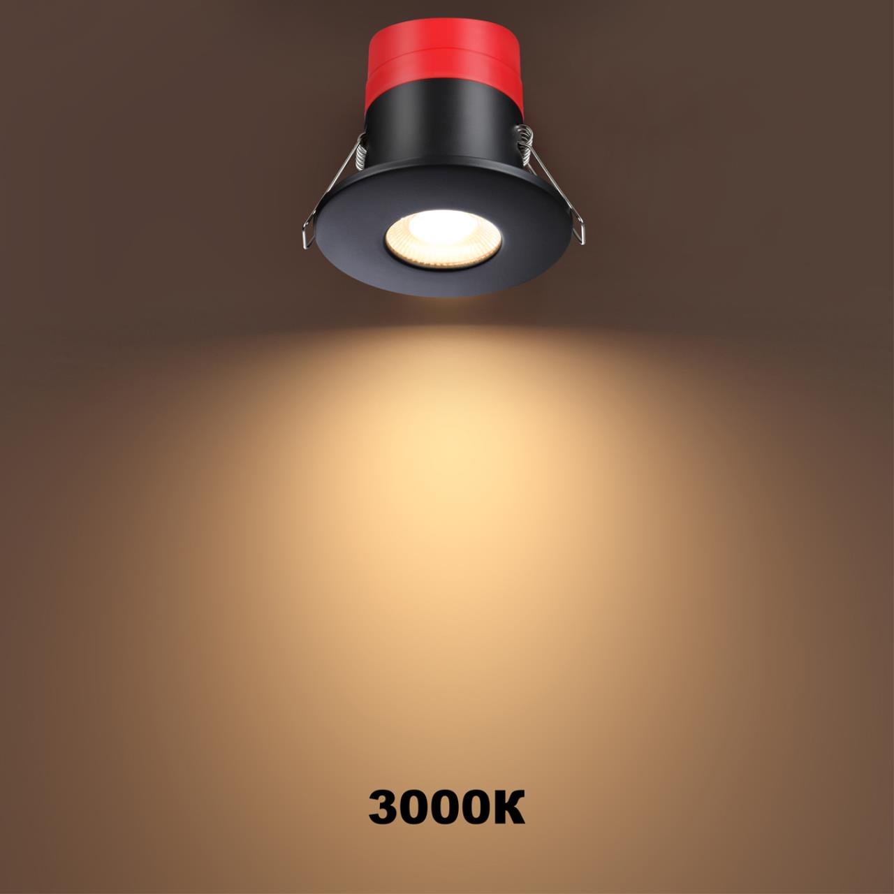 358638 Novotech
