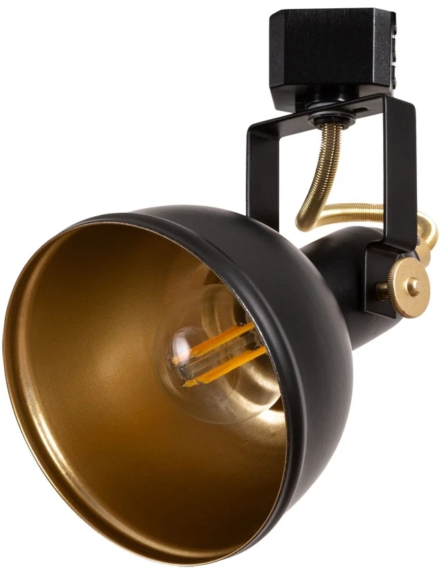 A5213PL-1BK Arte Lamp
