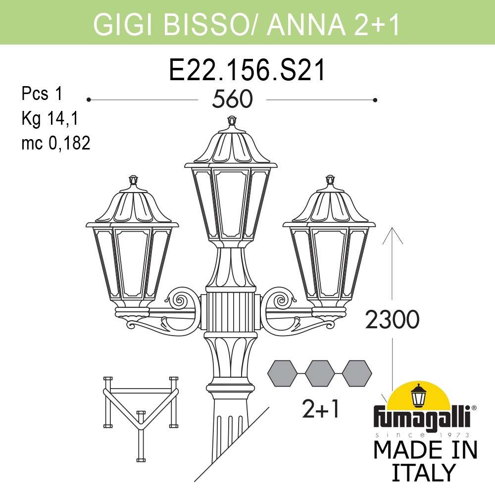 E22.156.S21.VYF1R Fumagalli