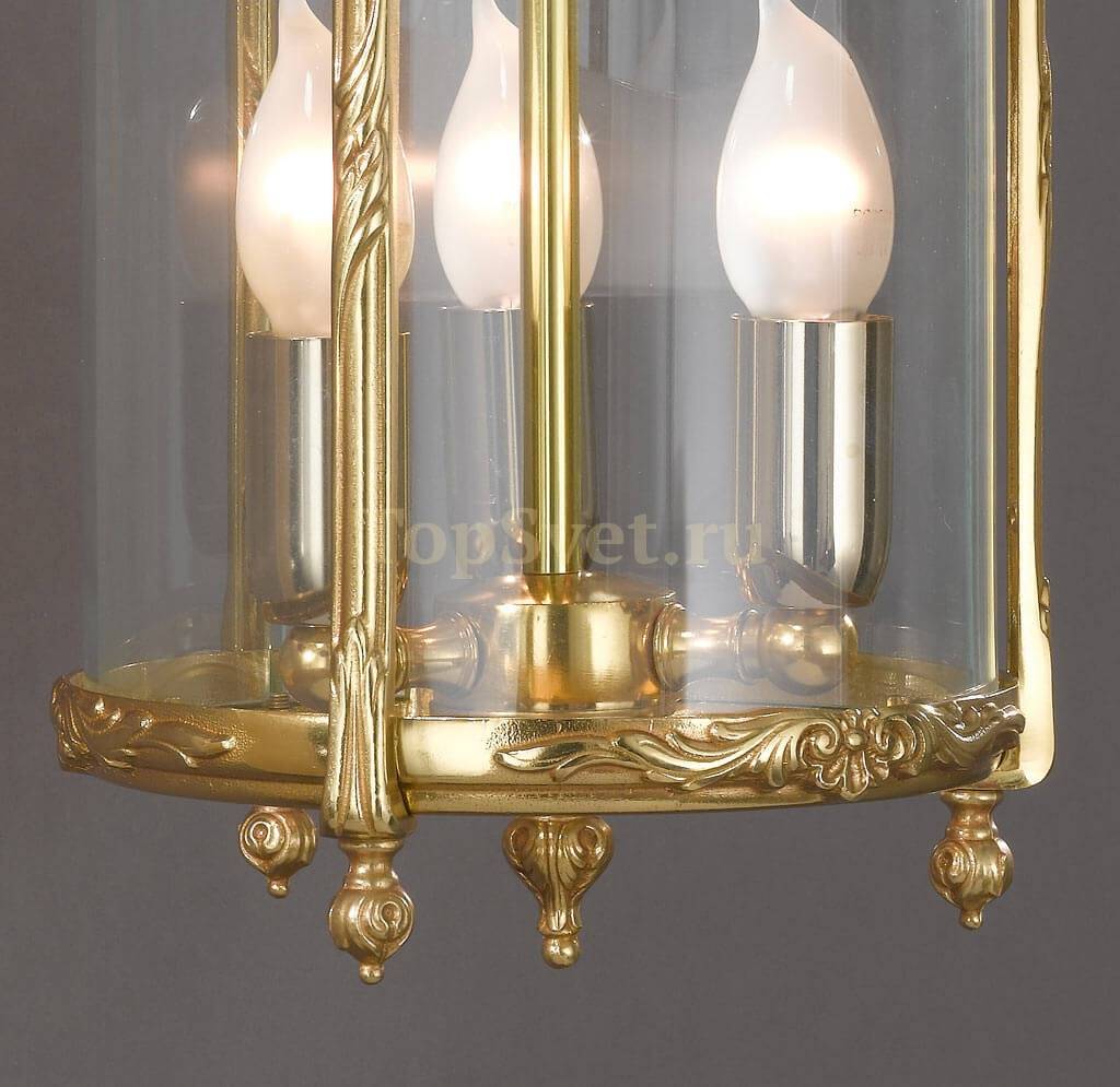 A 31 FRENCH GOLD Nervilamp