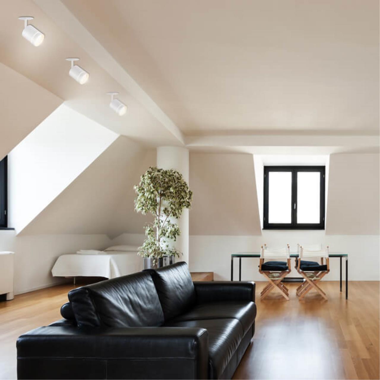 357687 Novotech