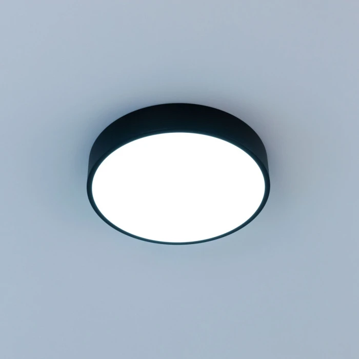 CL72424V1 Citilux