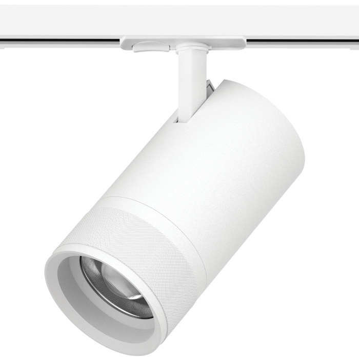 C4406SS Lightstar
