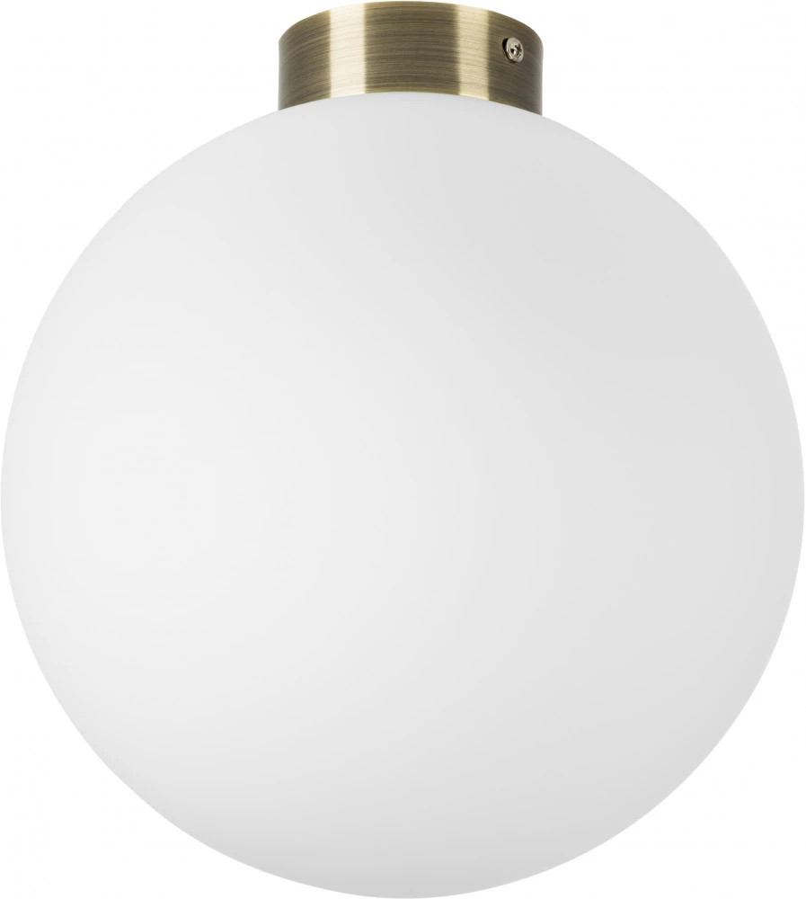 812031 Lightstar
