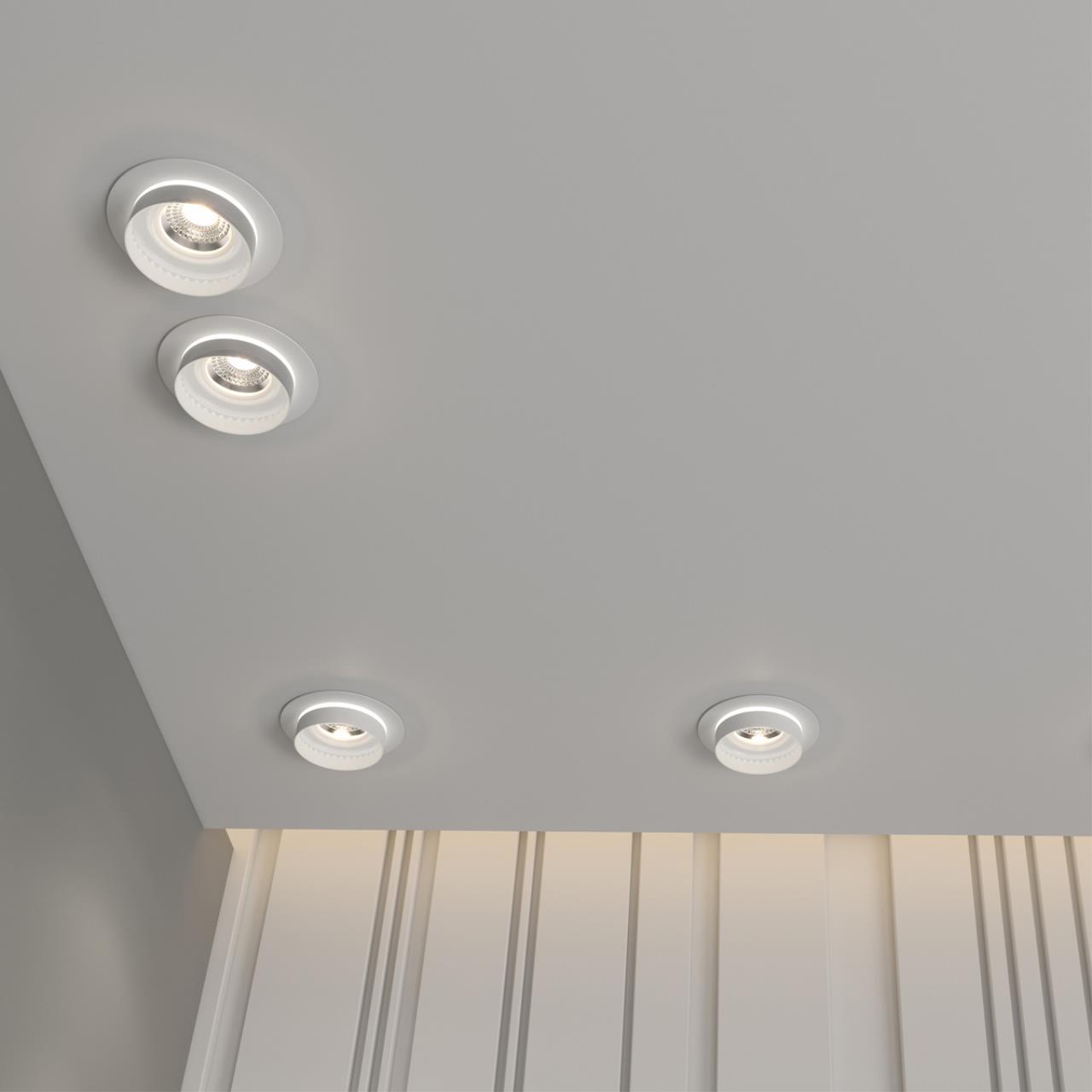 370781 Novotech