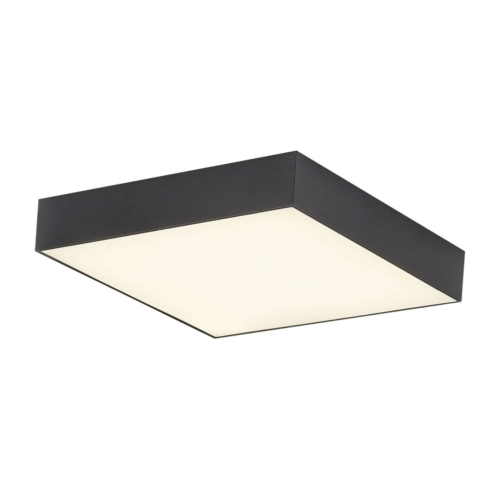 CL712X242N Citilux