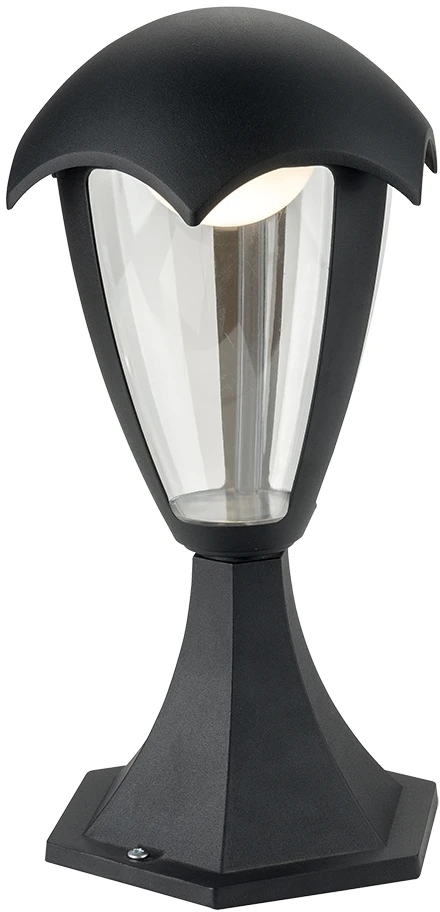 A1661FN-1BK Arte Lamp