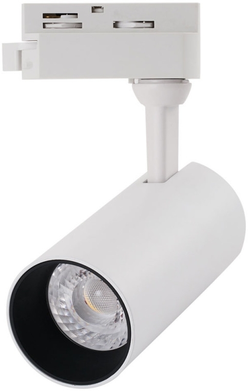 A4568PL-1WH Arte Lamp