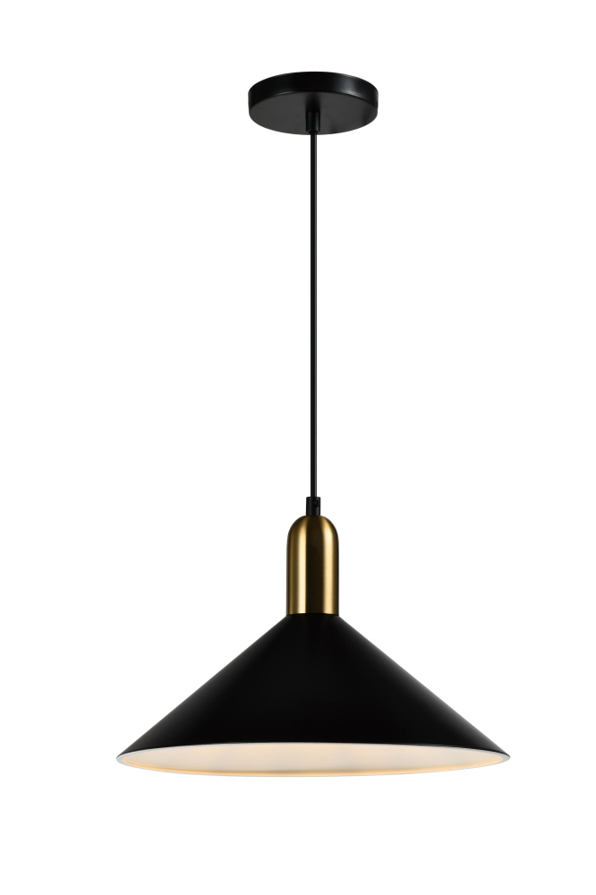 V11551-1P Moderli
