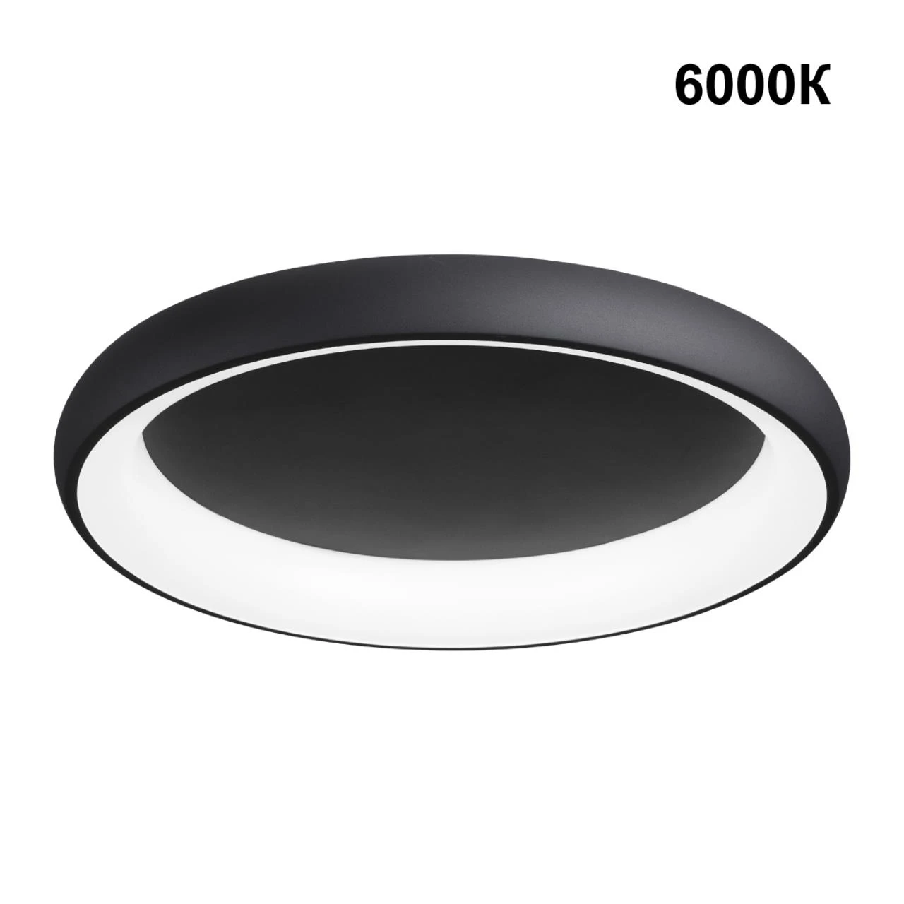 359025 Novotech