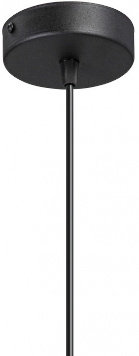 V2949-1/1S