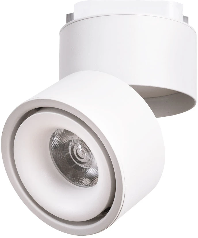 A7716PL-1WH Arte Lamp