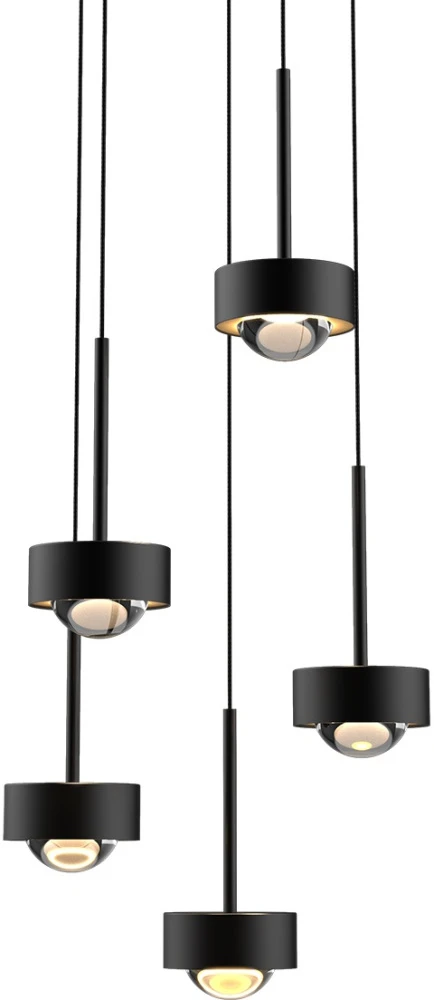 MD2826-5A black Delight Collection