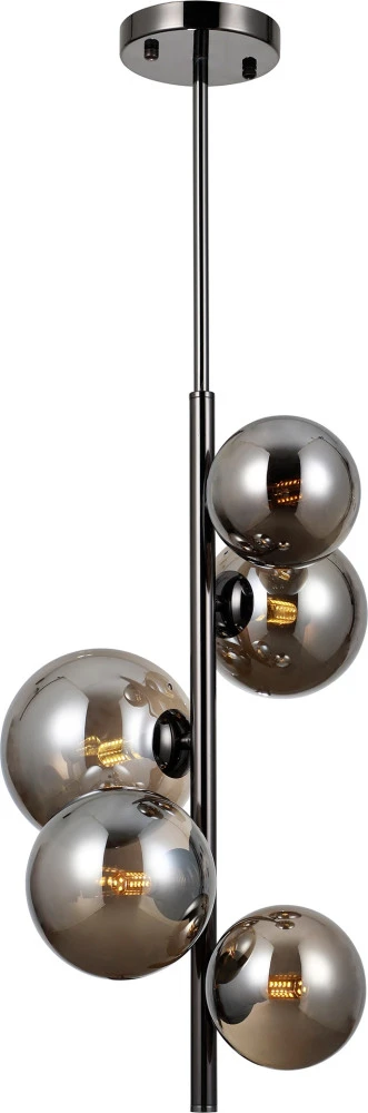 V10795-5P Moderli