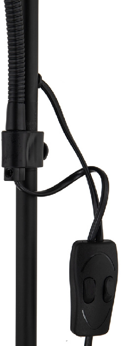 A9569PN-2BK Arte Lamp