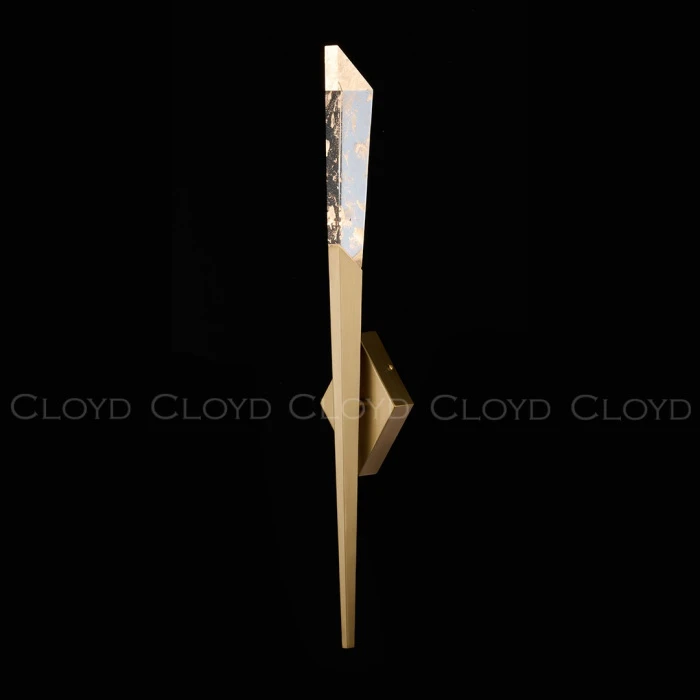 20429 Cloyd