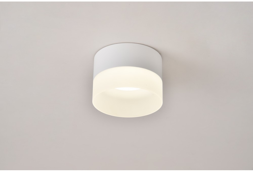 OML-103109-05 Omnilux